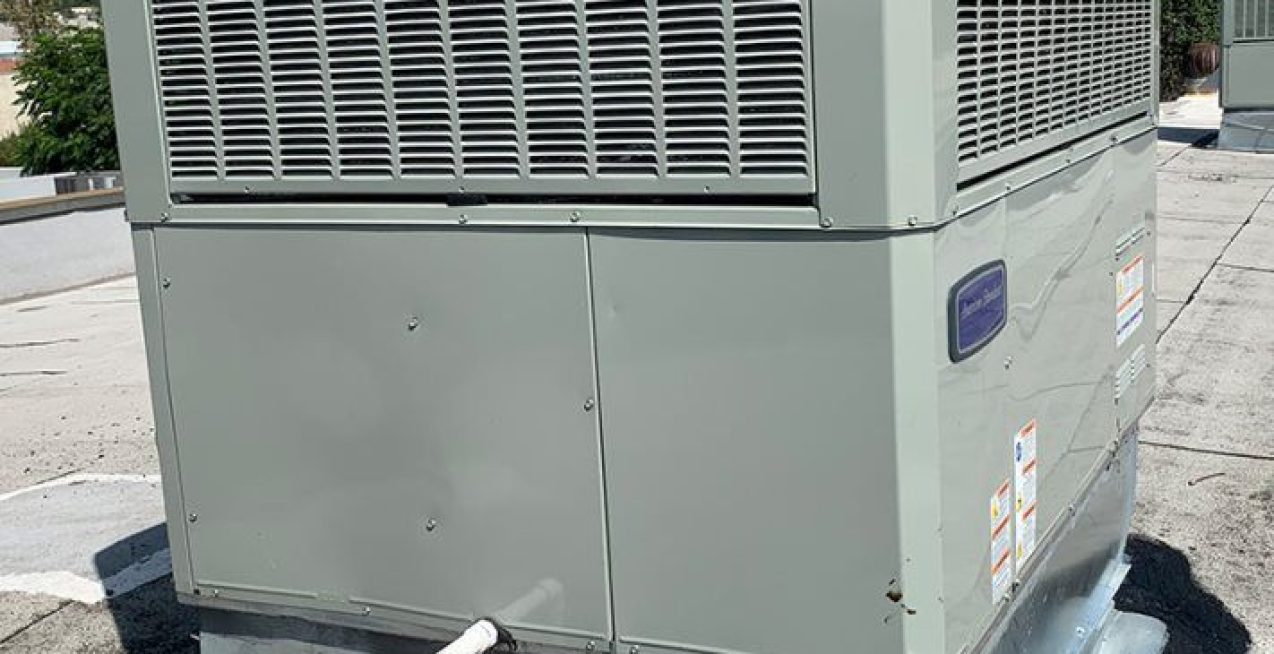 2e556d77-99da-4f7c-95fe-d226a30e007a_l