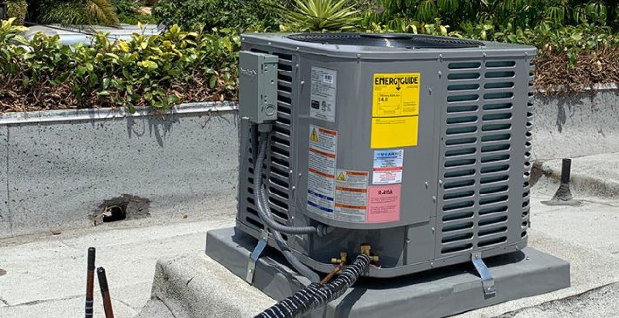 646b699a-96d4-4fe2-a53f-fee53d870d84_l