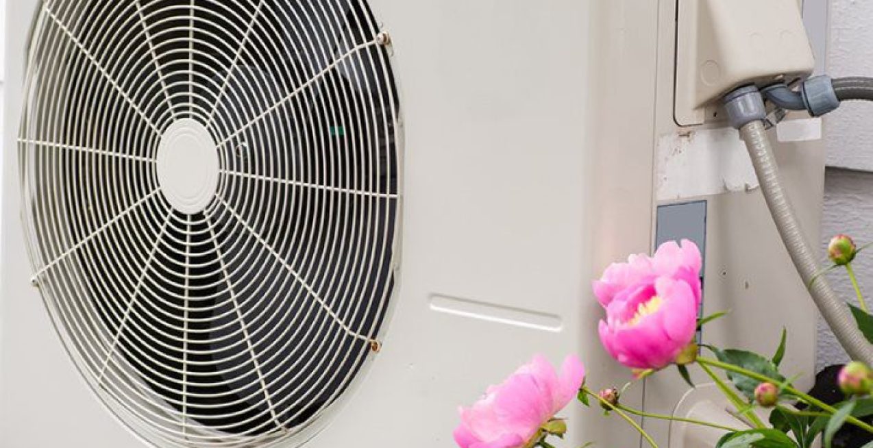 65fe832e-8e9e-4b6f-9d55-667f6dc8202f_l