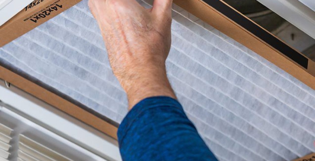 ad2e8698-23cf-4d5e-8be8-7fbf9ad6f0f2_l