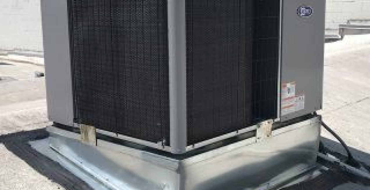 ba27aa55-2d7c-4fa6-a2fc-9de95a26d8dc_l (1)